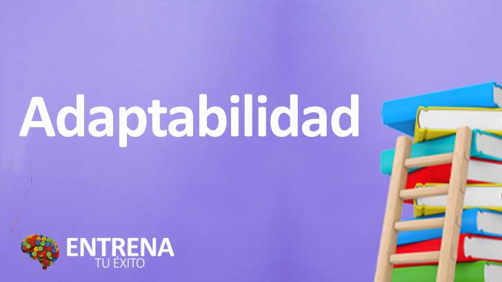 Adaptabilidad