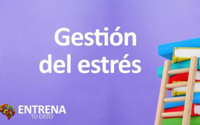 Gestión del Estrés: Claves para Vivir una Vida Equilibrada y Saludable