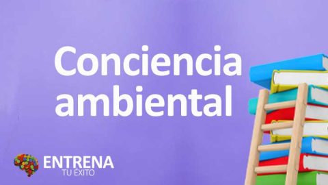Conciencia Ambiental: La Clave para un Futuro Sostenible