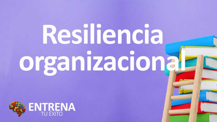 Resiliencia Organizacional: Fortaleciendo la Adaptación Empresarial en Tiempos de Cambio